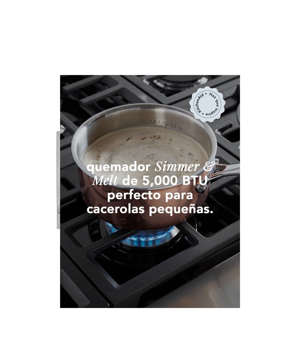 Parrilla a Gas LP 3