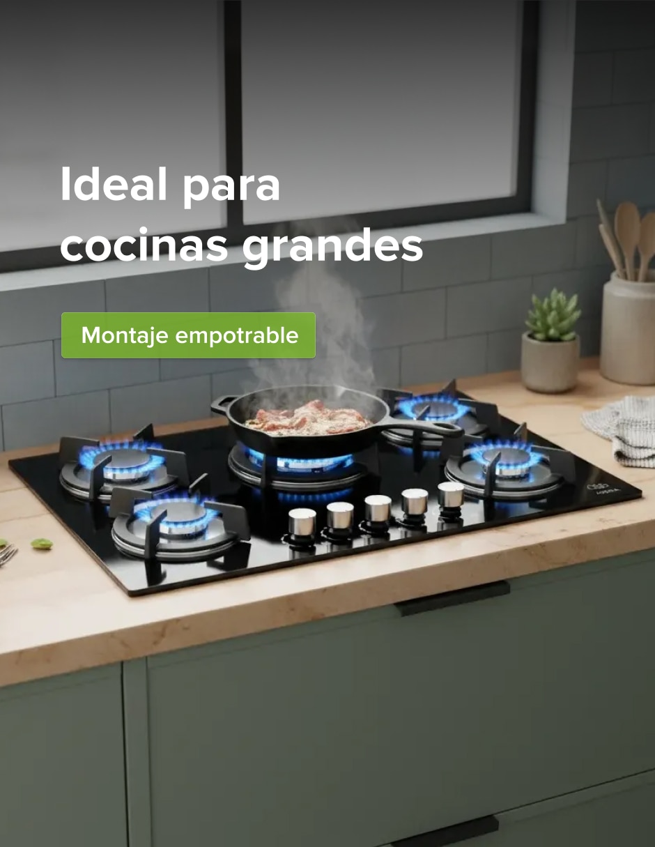 Parrilla a gas lp empotrable Avera
