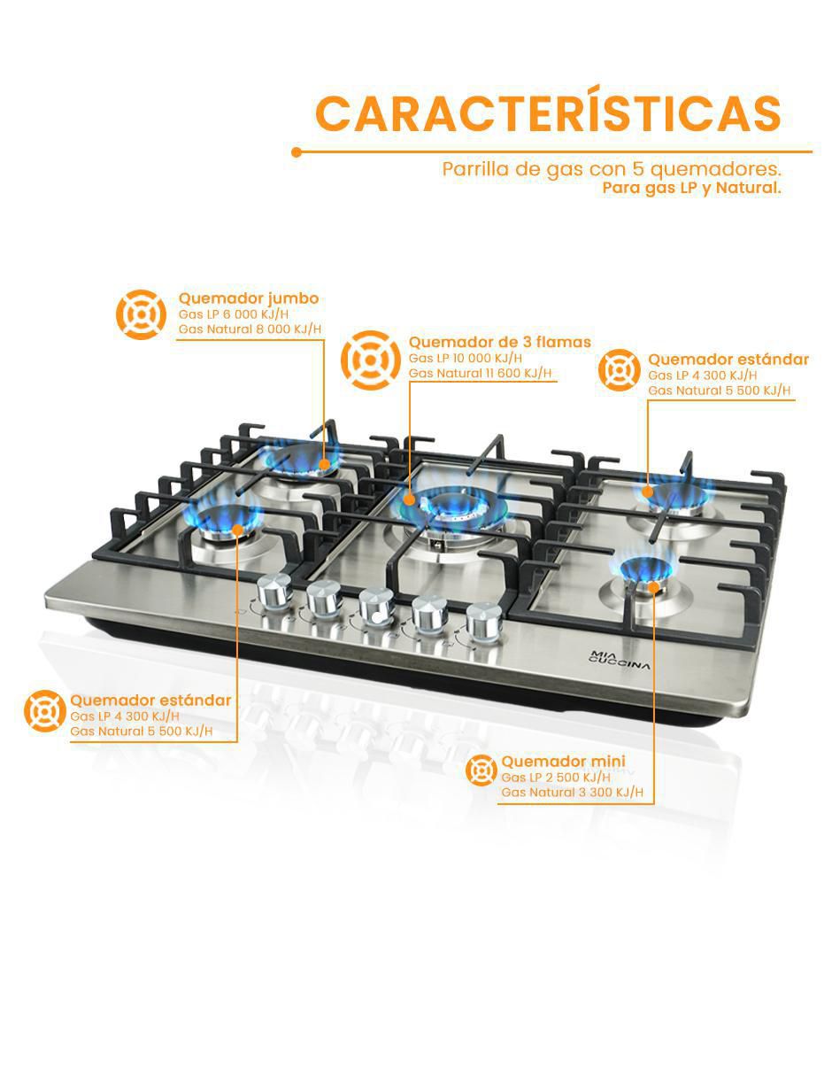 Parrilla a gas lp empotrable 5