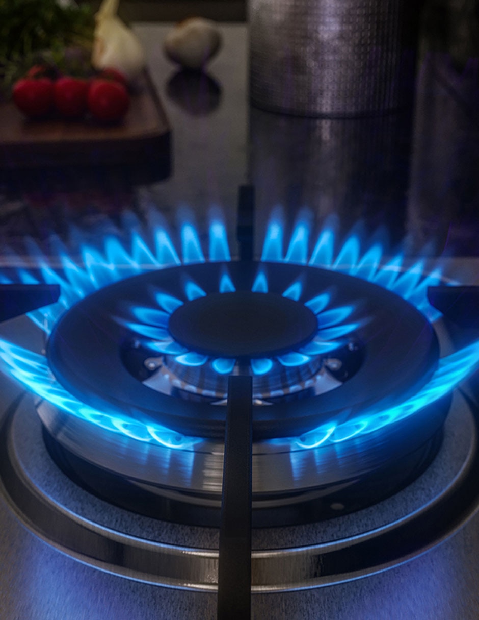 Parrilla a gas LP 6