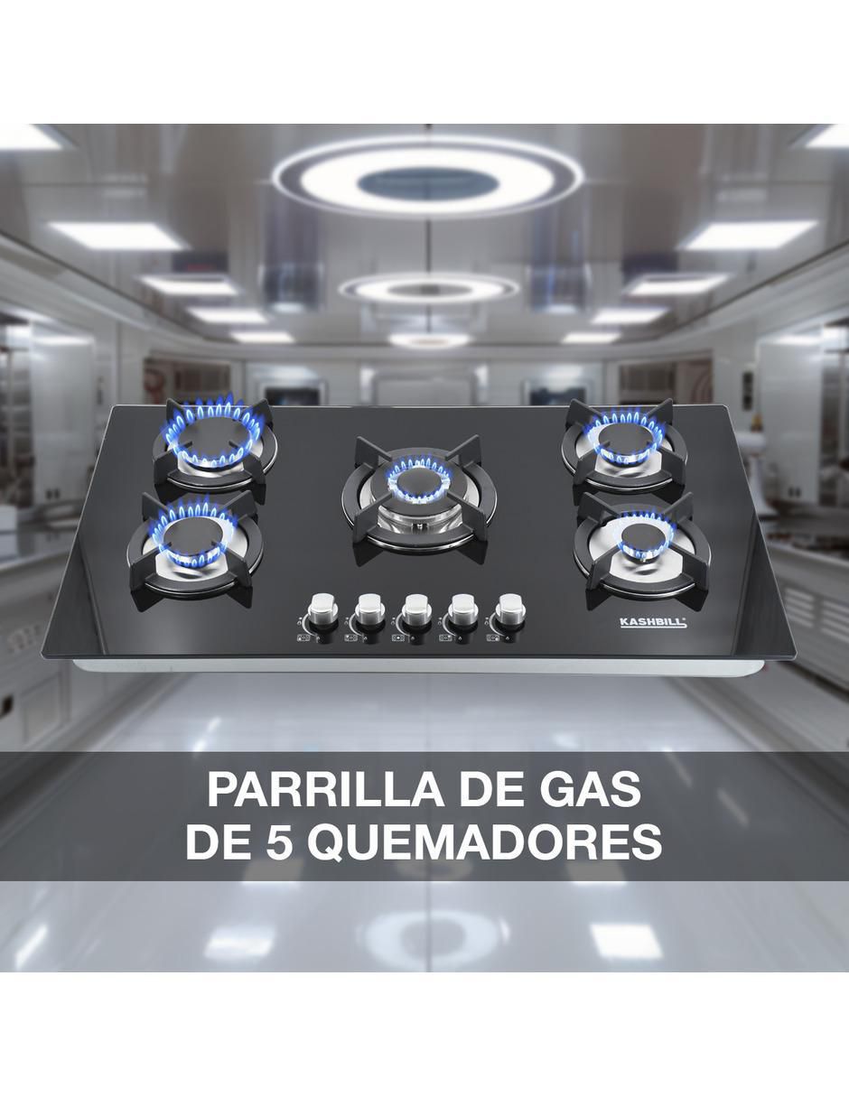 Parrilla a gas lp empotrable Kashbill