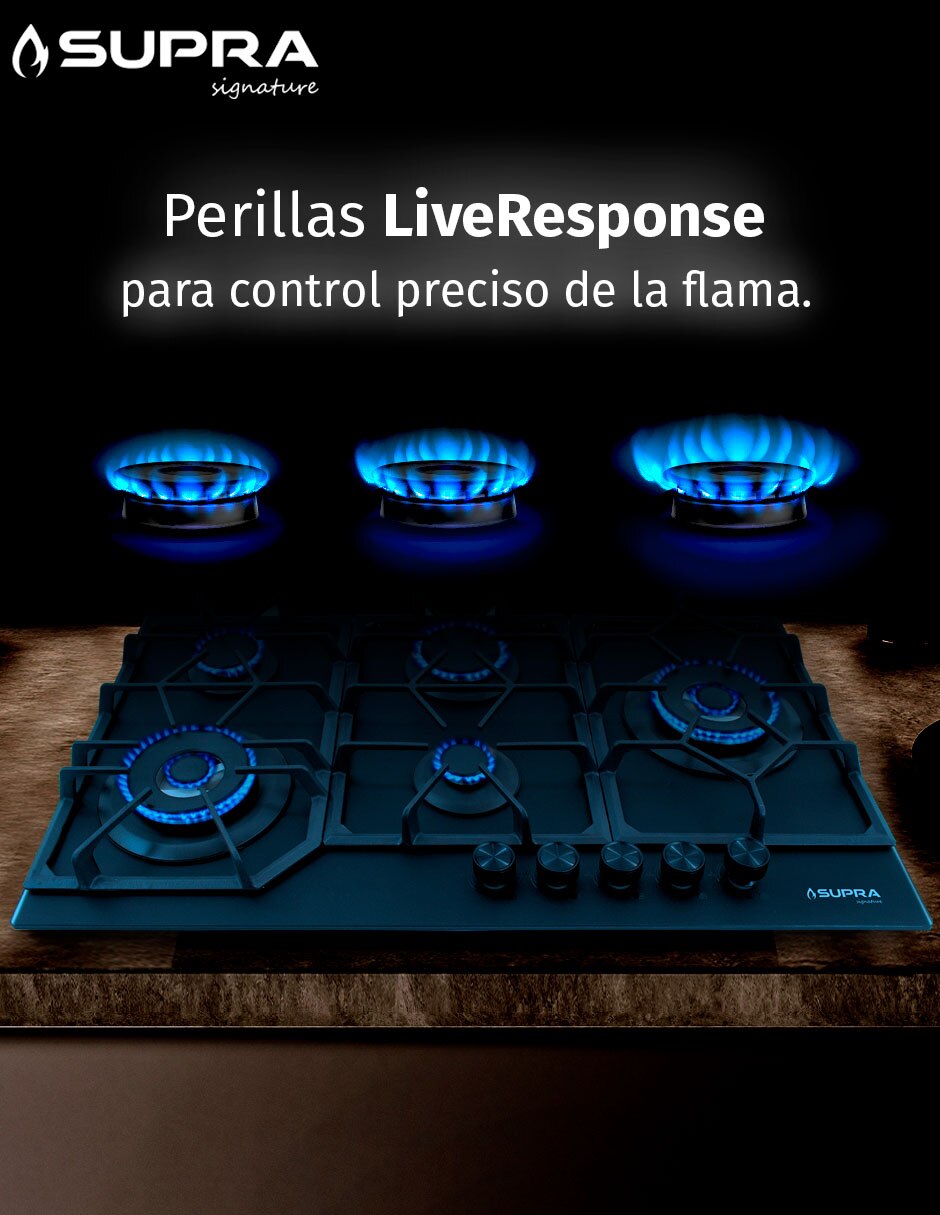 Parrilla a gas lp empotrable 2