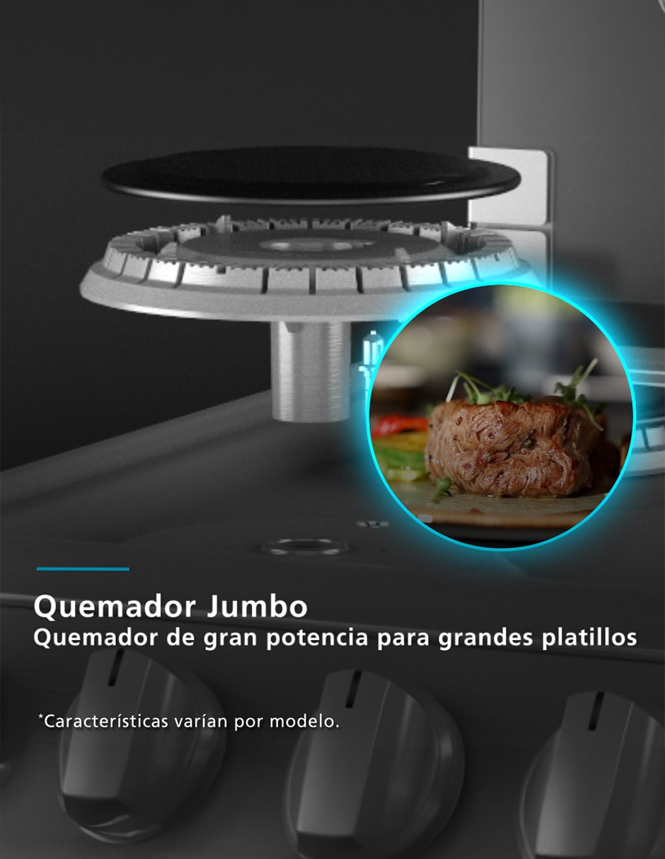 Parrilla a empotrable combo 6