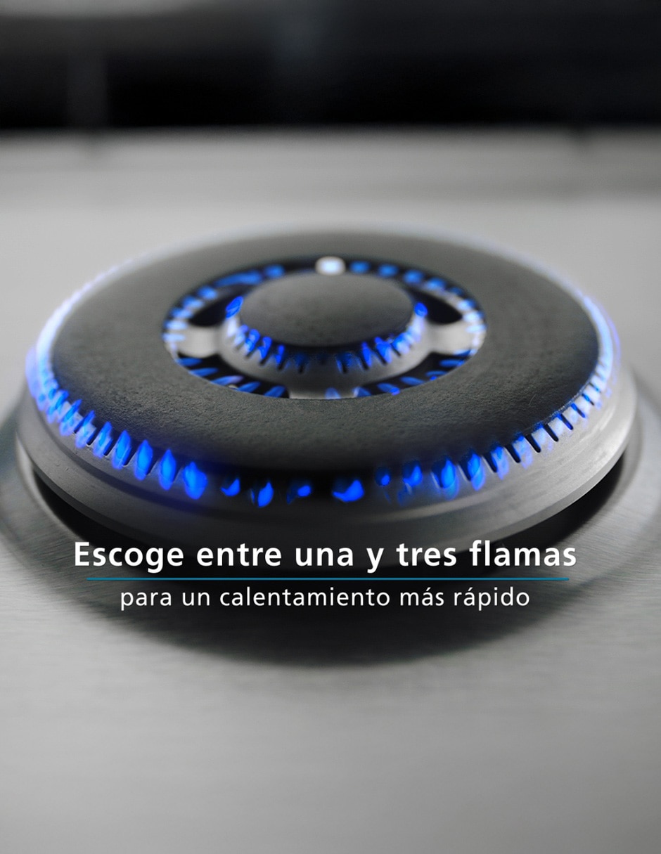 Parrilla empotrable